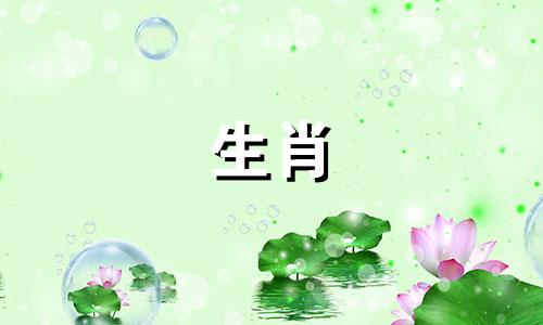 鼠标在哪些行业做得比较顺利