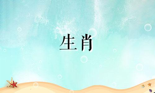 鼠标男性最喜欢的女性服饰