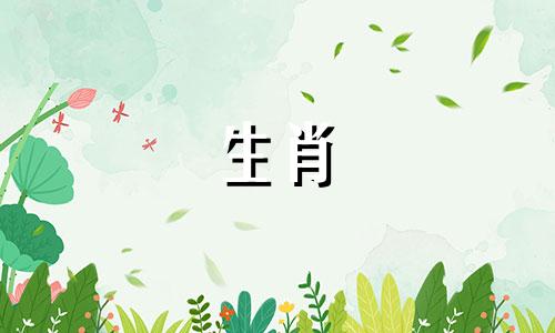 今年有属鼠吗?鼠的属相是什么?