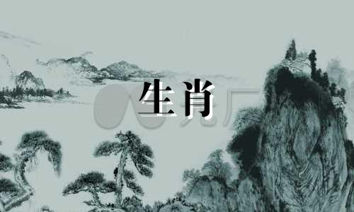 属猴属于什么动物种类?