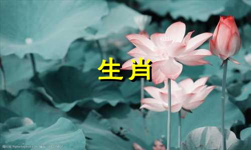 热恋期过后如何寻找新鲜感