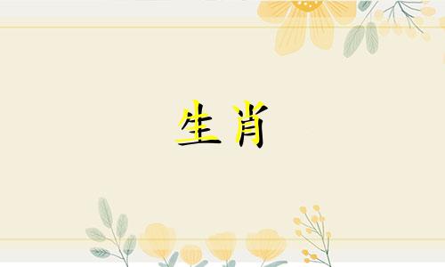 年龄组大鼠一生命运分析