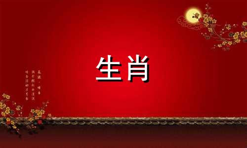 母马公虎生肖配对婚姻