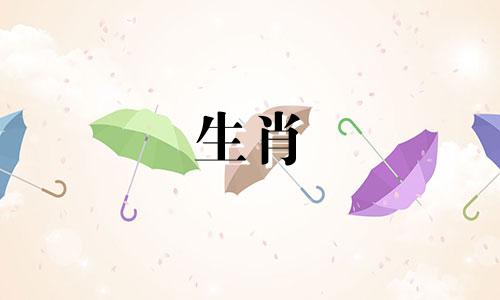 生活是一只好属鼠吗?星座运势详细信息