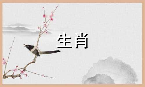 属鼠能在自己的年龄结婚吗?