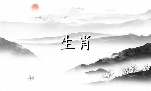 48岁的属鼠今年运气好吗?