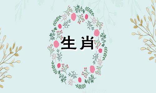 到2020年底有一条属鼠尾巴可以吗?鼠年宝宝有钱又贵吗?