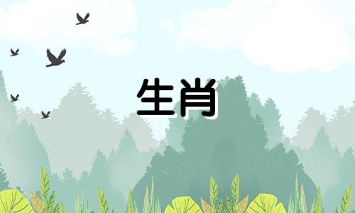 2021年上半年属鼠人运势分析