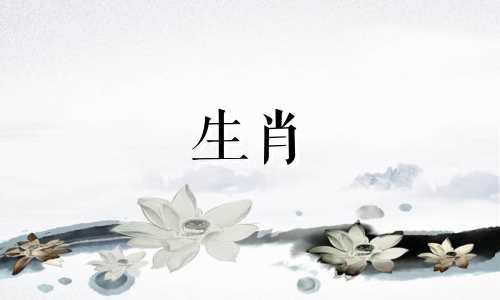 麦玲玲的2021之旅是鼠之旅