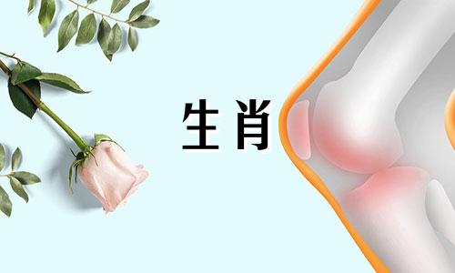 为什么你不能在鼠年生孩子，为什么你不应该在2020年生孩子