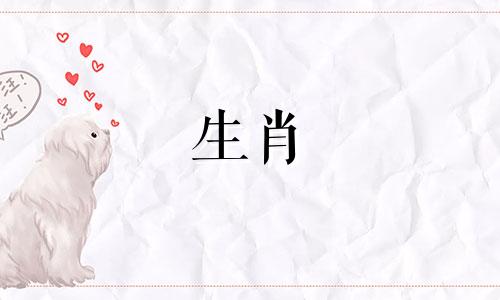 鼠人出生时间各小时出生命运分析