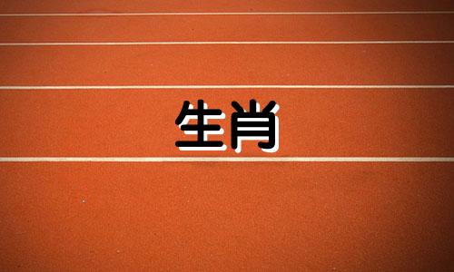 普通而令人羡慕的兔子生活