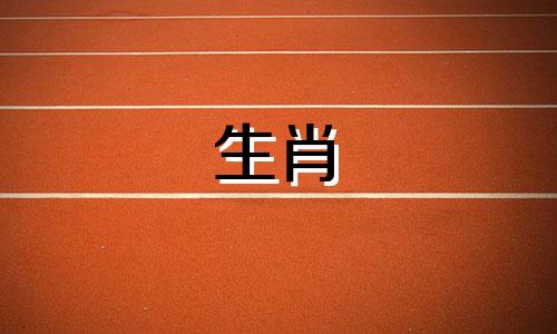 为什么我们都喜欢有小属鼠?2020年属鼠的生活是怎样的?