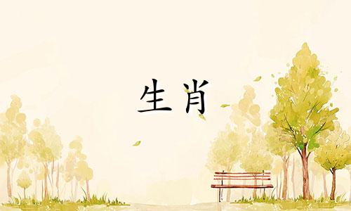 是什么让猪看透了生活