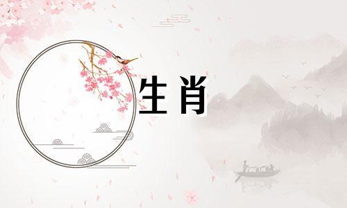 猪因为什么变得没心没肺