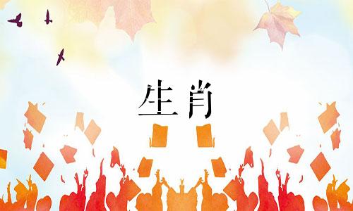 猪人在向任何人求婚时不在乎丢脸