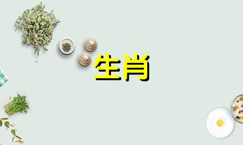 兔子女孩如何与女主人战斗