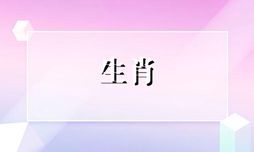 为什么猪不怕和恋人冷战