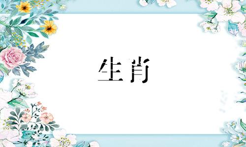 2024年的属龙的寿命是什么，24年的火木属龙呢?