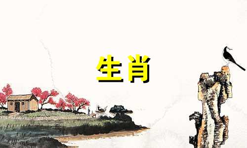 猪能从婚姻中学到什么