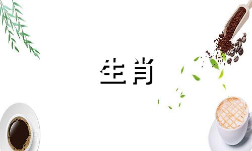 当你是一头猪时，有什么困扰你