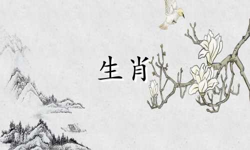 为什么猪不喜欢谈恋爱