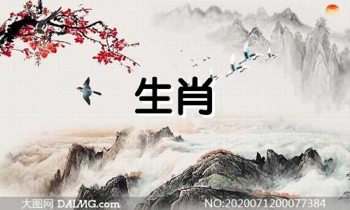 什么样的女生行为让猪男暗自开心