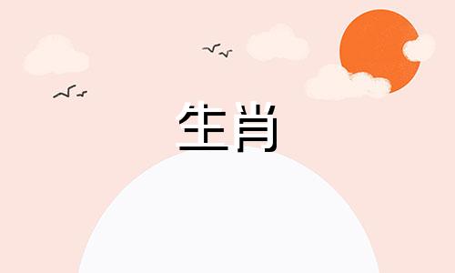 在什么情况下猪会走进酒吧