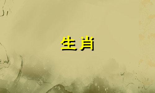 为什么猪的爱跑失败了?