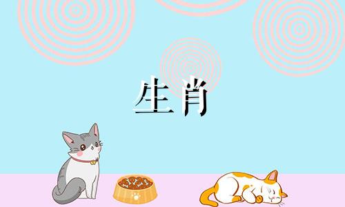 一个猪女孩如何塑造一个积极进取的男人