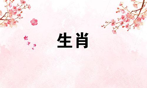 猪男孩最看重女孩身体的哪一点