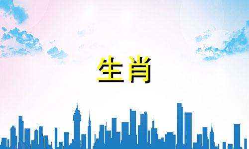 猪女孩适合什么样的男孩