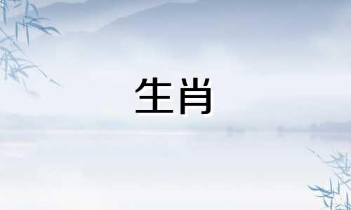 当猪女人遇到情感危机时该怎么办