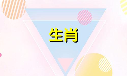 猪有多努力想挽回一个男人