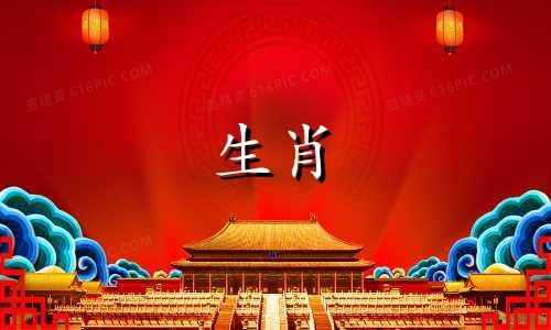 两只95岁的猪结婚怎么样?