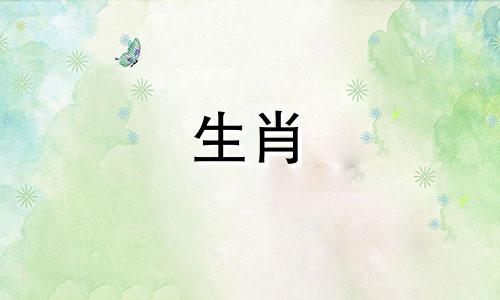 猪回到大学后会选择做什么