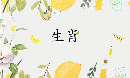 当猪爱上一个人时会做什么蠢事