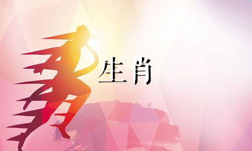 猪女友最看重男友身体的哪一点