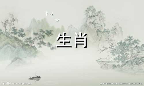 86年的属虎过着怎样的生活?1986年35岁的时候当一只属虎好吗?