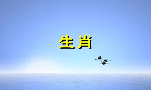 什么样的女人喜欢一个人的反应