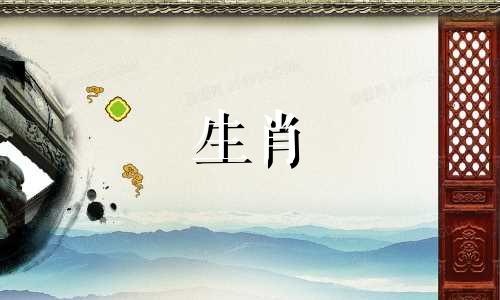 公猴和母猪适合夫妻吗?