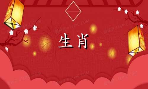 2019猪年是猪年注意事项