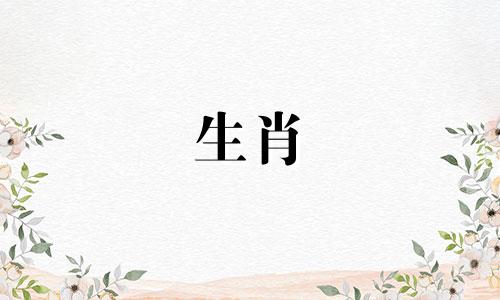 为什么猪女孩不能接受婚前性行为