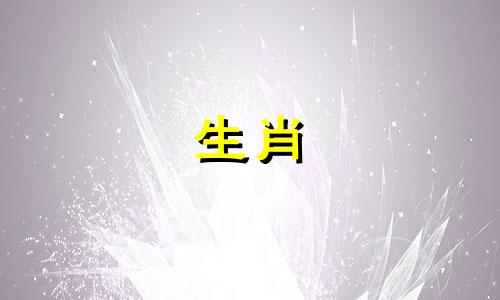 你的前半生学到了什么?