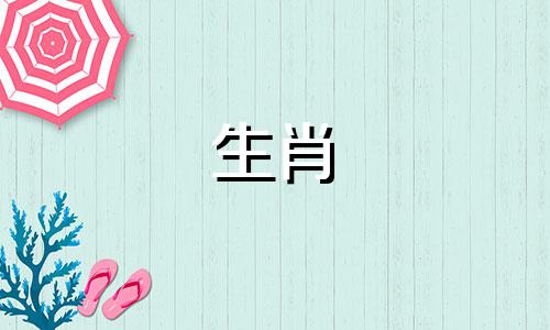 永远不谈恋爱的猪是什么感觉