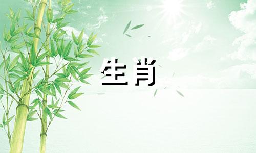 猪名禁忌:猪名应该用什么词