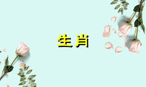 猪求偶时最喜欢的动作