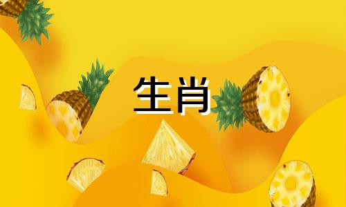 如何在2019年提高你的桃子运气