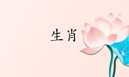 为什么猪女友会阻止你