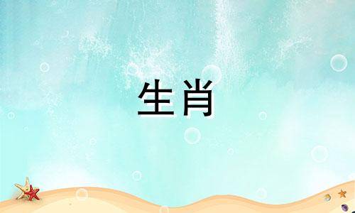 十猪九苦?猪年运势分析